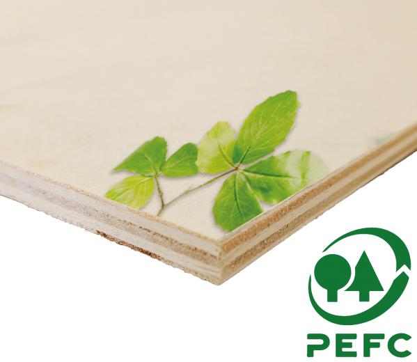 5 laags populier hout 8mm