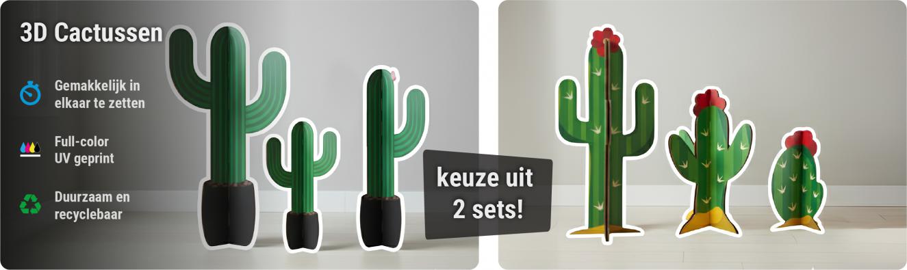 Kartonnen cactus decoratie set