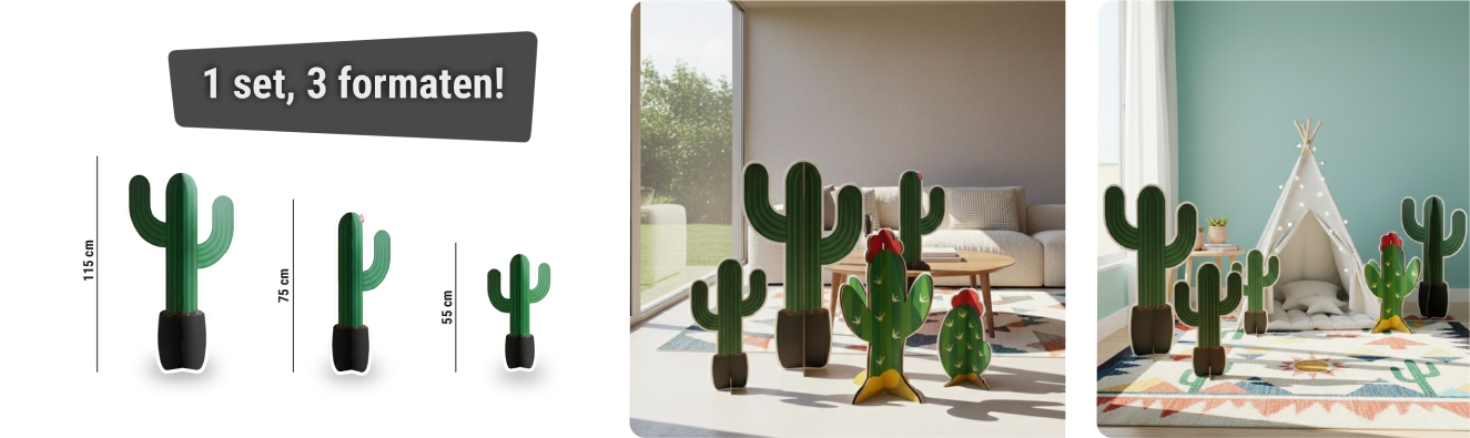 Kartonnen cactus decoratie set