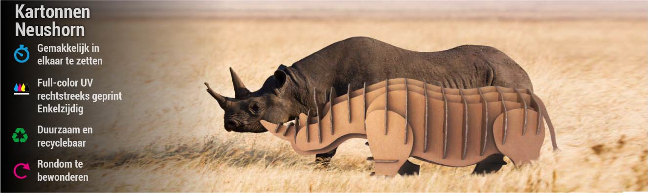 3D kartonnen neushoorn of kat