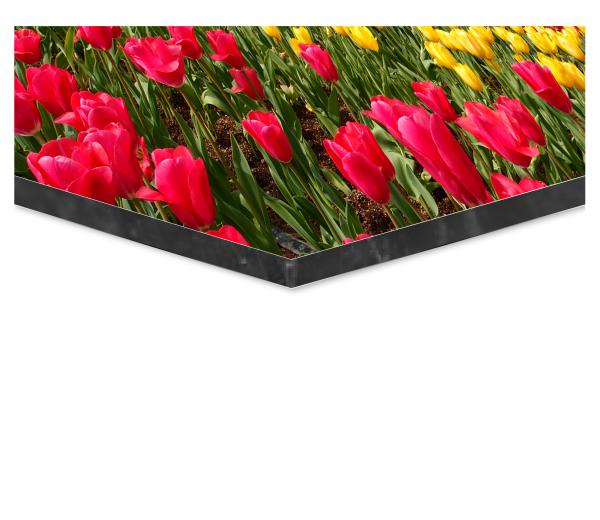 Dibond 6mm