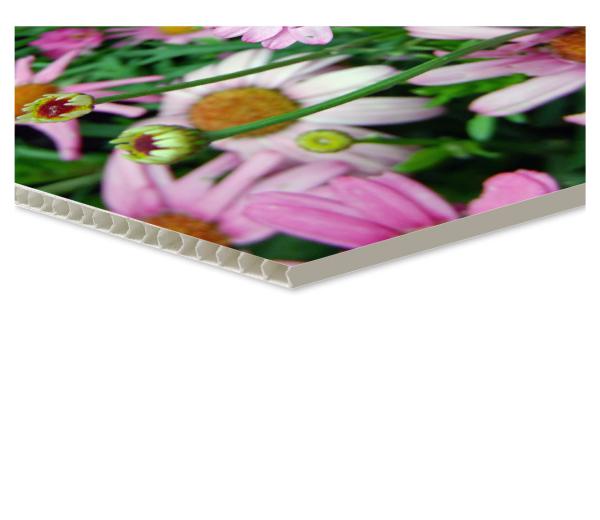 Kanaalplaat 4mm