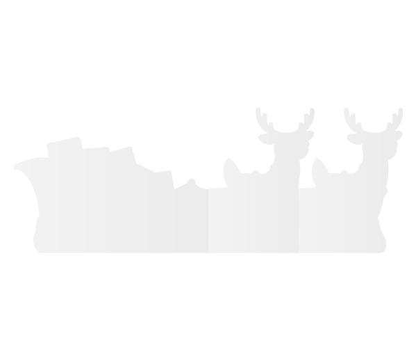 Kartonnen Slee en Rendieren