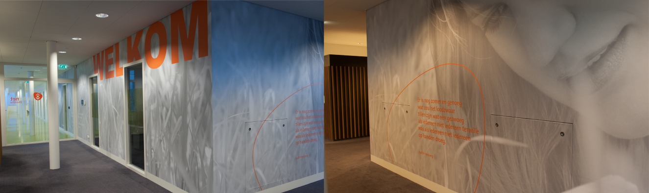 Airtex Greyback / Behang