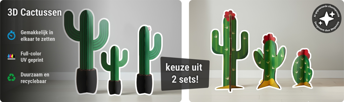 Kartonnen cactus decoratie set
