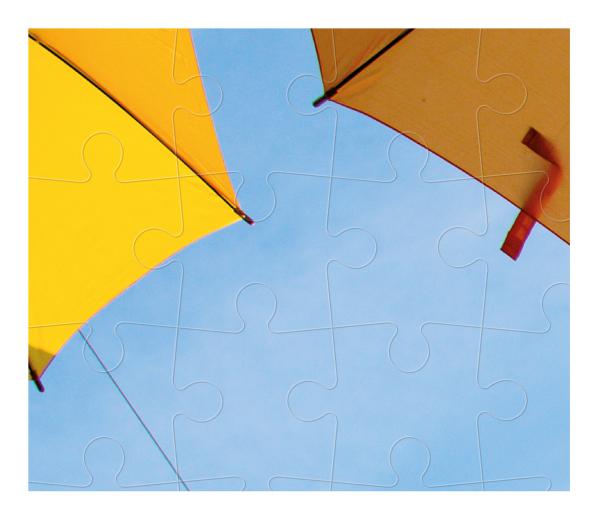 Kartonnen Puzzel