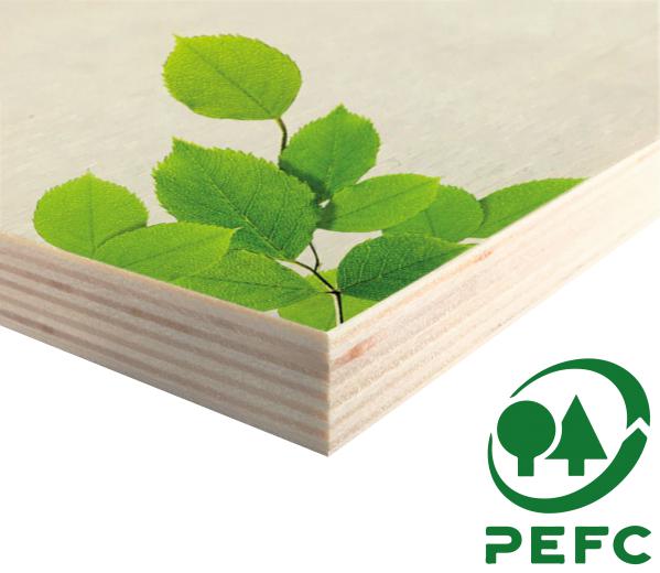 13 laags populier hout 18mm