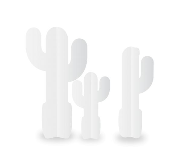 Kartonnen cactus decoratie set