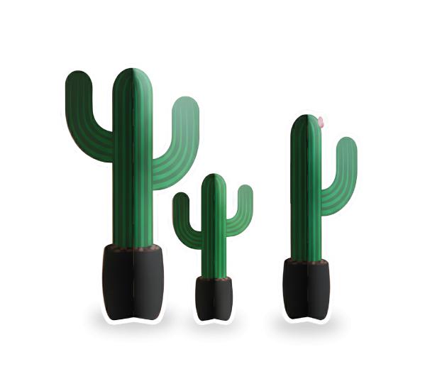 Kartonnen cactus decoratie set