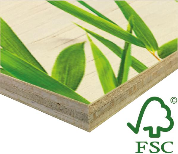 Hout