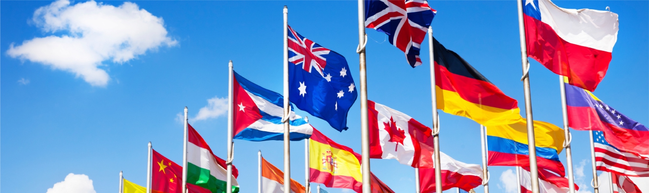 Mastvlag Polymesh Linkswappperend met koord en lusje rondom gezoomd